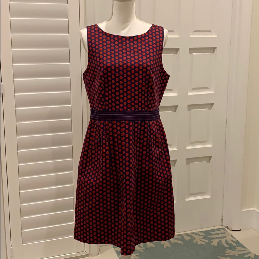 The Limited polka dot fit and flare dress size 12
